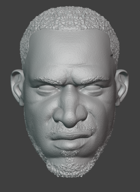 Lee Combat Painted Headsculpt